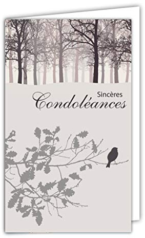 Afie - Biglietto di San Valentino per condoglianze piccolo, grigio, degno secondo il paesaggio pacifico, sole e volo, uccelli, colombe, mani, pace acqua, lago, erba graminata, prodotto in Francia