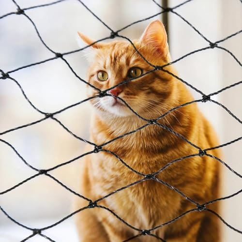 Parain Katzennetz für Balkon Fenster Drahtverstärkt Katzenschutznetz Robustes Katzengitter Schutznetz Balkonnetz für Katzen 2x3m