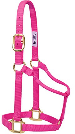 Weaver Leather Original Halfter aus Nylon, Nicht verstellbar, Diva Pink