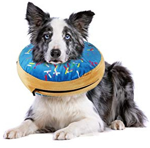 Aufblasbares Hundehalsband | Tolle Alternative zum Hundetrichter | Bequemes Genesungshalsband für kleine Hunde (Blau)