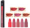 Set di 5 colori di mini rossetto, rossetto opaco di velluto, rossetto antiaderente, rossetto impermeabile di lunga durata (01#)