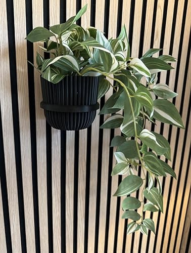 Vleugel Akustikpaneel 2X großer Ring + 2X großer Topf