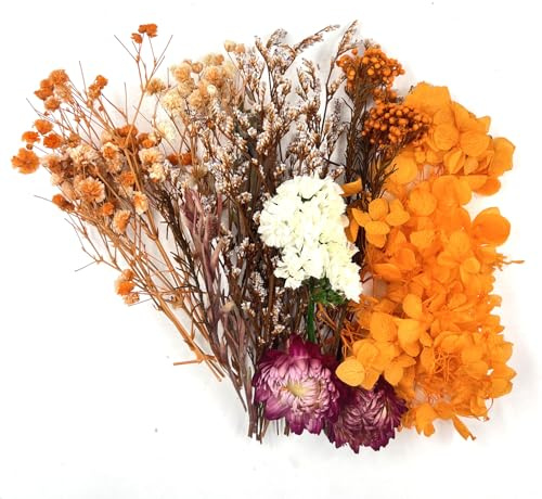QZKJQDD Natural Dried Flowers, Real Dried Flowers, Dried Flowers for Resin, Dry Flowers for Decoration, Dried Flowers for Crafts, Candle, Soap Making, Resin, Scrapbooking, Cards Making(orange color)