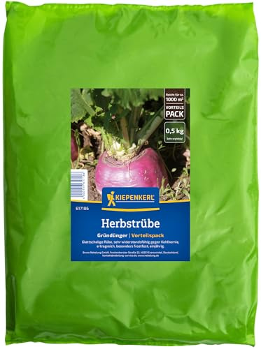 Sperli Puffbohnensamen Dreifach Weiße 80297 - Robuste Puffbohne- hohe Keimrate - frühe Aussaat im Freiland - Stickstoffsammler für nachhaltige Gartenarbeit - Gemüsesamen für hohe Erträge