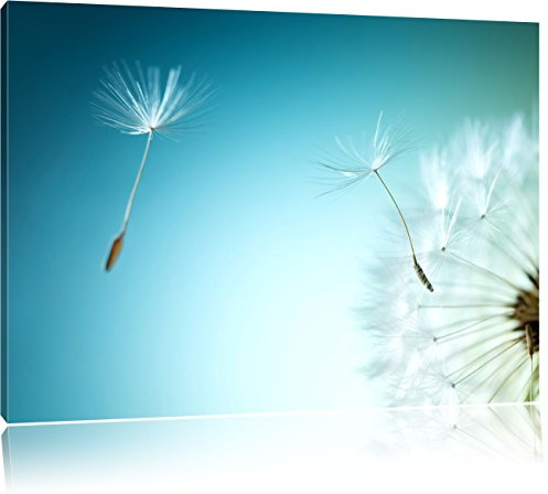 Pixxprint Löwenzahn Pusteblume, Größe: 60x40cm, Leinwandbild, fertig gespannt, Wandbild, Dekoration, Kunstdruck, kein Poster