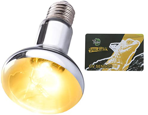 YauldSun 100W UVB UVA Reptile Basking Heat Light Bulbs UV Sun Lamp for Bearded Dragon Lizard Tortoise Turtle Amphibian 1 Pack