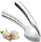 Large Capacity Garlic Crusher,Garlic Crusher Heavy Duty Kitchen Garlic Press Ginger Effortlessly (No Need to Peel),Easy to Clean and Durable(Sliver),Built for Life