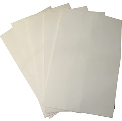 Scheppach Filtro de papel para sistema de extracción HA1000 | accesorios de extracción 75100702 | Juego compuesto de 5 filtros de papel