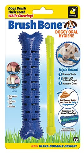 Chew Brush Pro - Jouet os à mâcher pour Tous Les Chiens - Nettoie Les Dents et la Plaque Dentaire, Masse Les gencives - Jouet à Mordre Ultra résistant - Réservoir à friandises - sans BPA ni phtalate