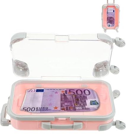 TAKONE Geldkoffer Geschenkbox Mini Koffer 500 Euro Socken Rosa | Mini Geldkoffer Aluminium 500 Euro Socken Geschenkbox Geld Gutschein kreativ
