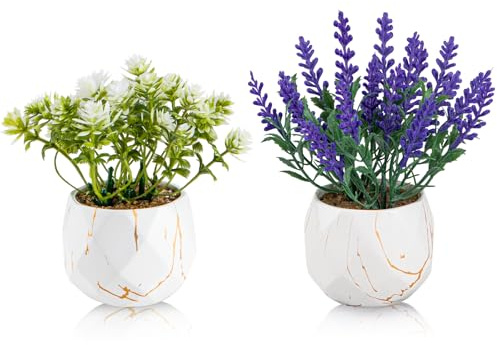 ZENIDA Künstliche Pflanzen und Sukkulenten in 2 weißen Keramikgefäßen, kleine Kunstblumen Lavendel und Wildblumen für Büro- und Badezimmerschmuck, Schreibtisch, Schlafzimmer, Regale