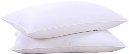 puredown Set di 2 Cuscino Piuma d'oca 48x74cm, Bianco Cuscino Letto Matrimoniale, Lungo Cuscino Morbido Dormire, Guanciali Letto Coppia Cuscini, Lussuoso Cuscino Letto d'albergo, Lavabili in Lavatrice