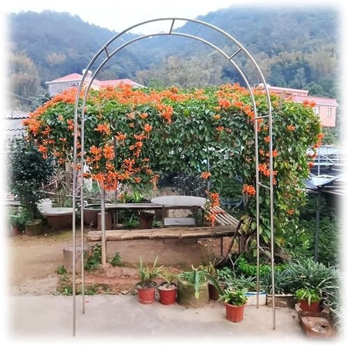 Gartenbogen Aus Edelstahl Rosenbogen Aus Metall Garten Torbogen Rankgitter Rosenhilfe Wetterbeständig Rankhilfe Spalier (200 * 240cm)