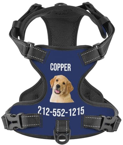 WINKEEY Hundegeschirr Personalisiert Sicherheitsgeschirr Welpengeschirr Brustgeschirr Mit Namen Telefonnummer Anti Zug, atmungsaktiv, reflektierend Für Kleine Mittelgroße und Große Hunde