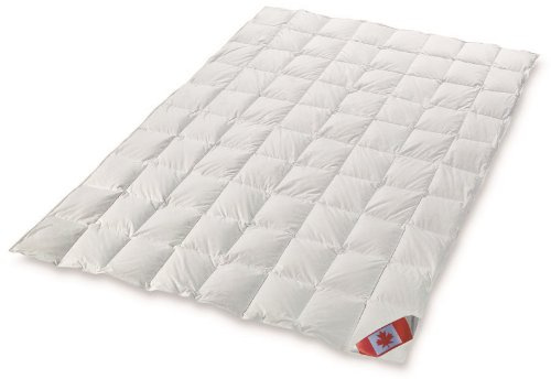 Schäfer leichte Sommerdecke Polaris Premium canadische Daunen Gänsedaune Wärmegrad 1 (135x200)