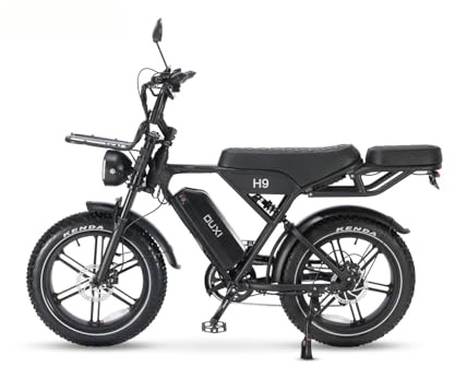 OUXI H9 E-Bike 20 Zoll Fatbike Elektrofahrrad Pedelec, 250W Motor 60Nm, 48V 15Ah Akku 60km, Hydraulische Scheibenbremsen, Vollfederung, Gepäckträger vorne & hinten, mit Blinker (H9)