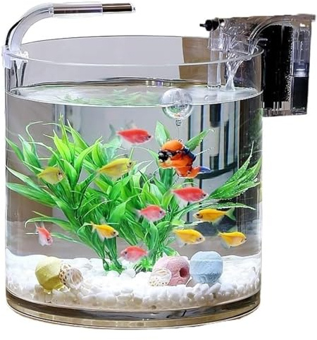 CSYQPDMBDL Kugelaquarium, Goldfischglas, Transparentes Glasfischaquarium Wohnzimmer Büro Desktop Zylindrisches Fischaquarium(20x20cm)