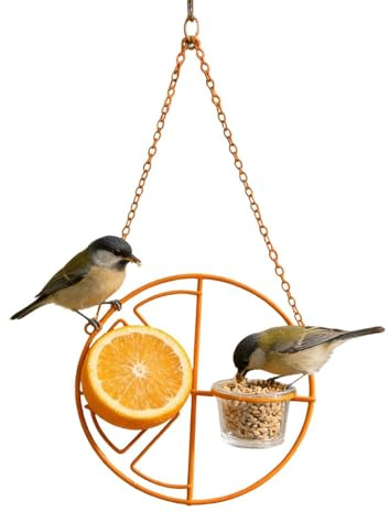 para Aves de Exterior,Alimentador Decorativo de Metal | Pequeño para Aves, Suministros para Mascotas,para Cacatúa, Gorrión, Colibrí, Frutas, Jardín, Patio,