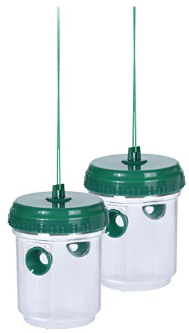Wespenfalle Wespenfänger 2er Set Insektenfalle Mückenfalle 13cm Hoch 8,5cm Durchmesser Wespenschutz Wespen Falle Insekten Schutz Transparent zum Aufhängen Garten Terrasse Balkon