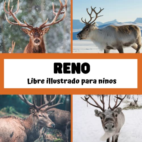 Libre illustrado para ninos - Reno: Descubrir los renos en imágenes - Niños de 2 a 5 años