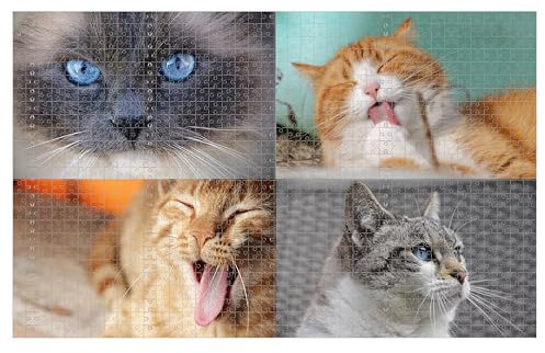 Puzzle Personalisiert,Puzzle Mit Eigenem Foto,Puzzle 1000 Teile,Fotogeschenk Für Jahrestag Geburtstag Weihnachten Valentinstag (4 Bild, 1000pcs)