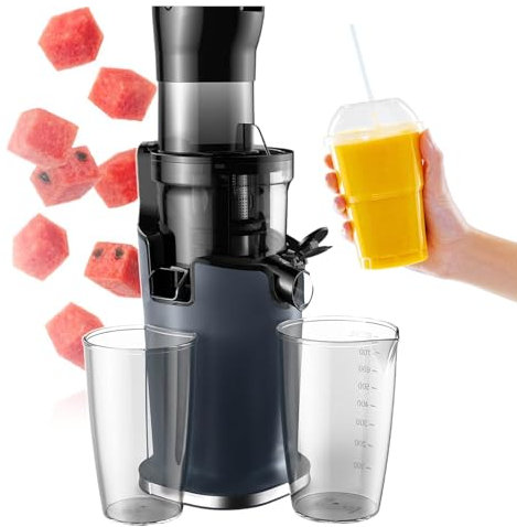 pealiritansemen Extracteur De Jus Lent De 200 W, Presse-Agrumes À Fruits À Pression À Froid, Machine À Jus À Vis Unique 40-65 TR/Min, pour Magasins De Boissons, Restaurants, Salles De Sport
