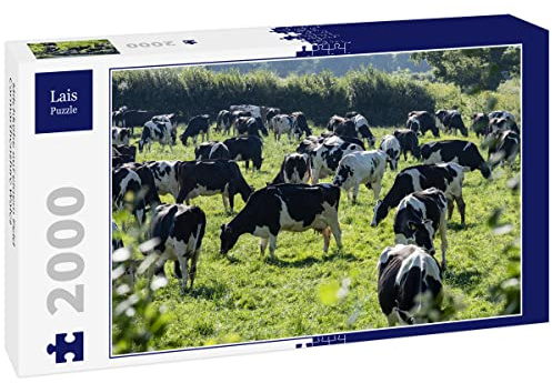Lais Puzzle Vacas lecheras en un Campo Carmarthenshire Gales 2000 Piezas