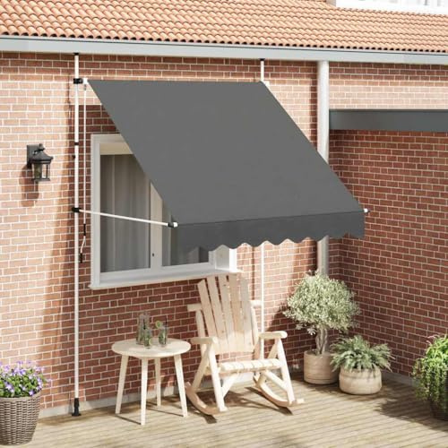 Brise Vue Retractable, Auvent Manuel rétractable 200 cm Anthracite, cloison de Separation Interieur pour Balcon, terrasse et Jardin