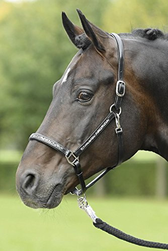 Busse Lederhalfter Glory schwarz/Strass-multi Warmblur