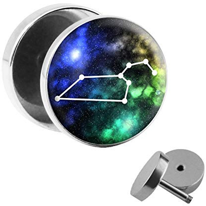 Treuheld | Fake Plug Sternzeichen/Sternbild LÖWE - Ø 10mm Bild Ohrstecker mit Motiv zum Schrauben - Chirurgenstahl Ohr Faketunnel Silber - Tunnel Ohrringe Ohrring Stahl Fakeplug