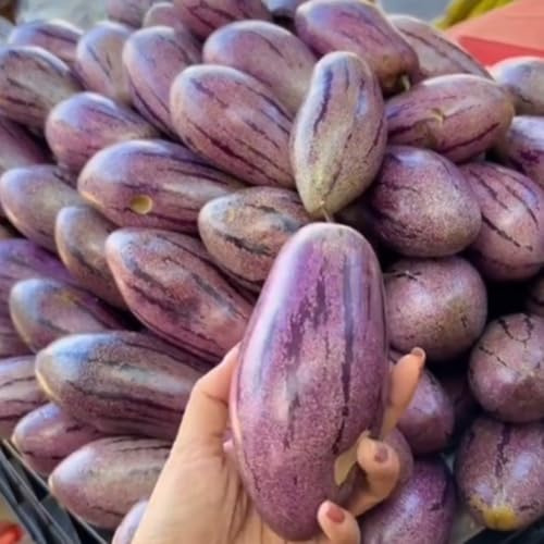semi di melone pere colonnari melone pere Tetti verdi, nano resistenti semi biologici 300pcs