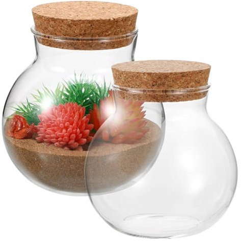Healeved 2pcs Round Glass Jar Terrarium Container Ball Succulent Plant Terrarium Buds Vases Easter Candy Jar Message Wishes Bottle with Cork Lid for Plant 10x11cm