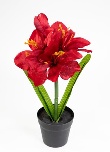 Amaryllis im Topf 32cm JA künstliche Blumen Pflanzen Kunstpflanzen Kunstblumen (Rot)