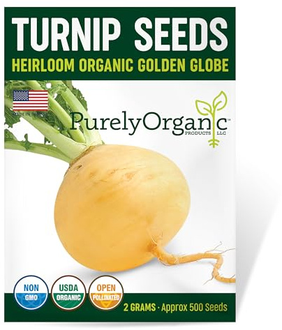 Organic Turnip Seeds (Golden Globe) - Approx 500 Seeds - USDA Organic, Non-GMO, Open Pollinated, Heirloom, USA Origin