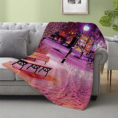 okoikfc Kuscheldecke Flauschig 220x240 cm 3D Parkbank Decke Fleecedecke - Wohndecke, Sofadecke XXL, Decke Couch Blanket, Kuscheldecke Große, Sofa überwurfdecke