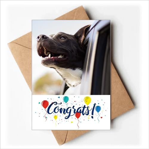 Schwarzer Hund Tier Foto Bild Hochzeit Karten Glückwunsch Gruß Umschläge