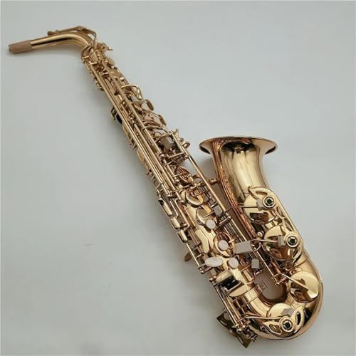 Altsaxophon Professionelle Interpreten Alt-Eb-Melodie Saxophon Messing Goldlack Musikinstrument Es-Saxophon Mit Kofferzubehör(C)