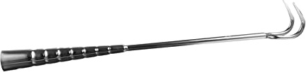 Sosoport Crochet à Jambon en Acier Inoxydable 41 Cm, Crochet à Rôtir Long, Anti-corrosion, Accessoire de Grillade pour Barbecue, Adapté Porc, Poulet, Rôti, Usage Extérieur,