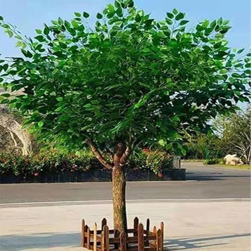 DDZJTPP Großer Künstlicher Banyan Baum, Künstlicher Baum Mit Echtem Holzstamm, Hochzeiten, Realistisches Design, Wunschbaum Requisite Für Moderne Innendekoration,1x0.6m/3.2x1.9ft