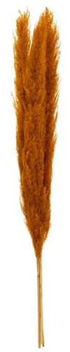 Atmosphera Créateur d'intérieur - Lot de 3 Fleurs Artificielles Pampa 109cm Orange