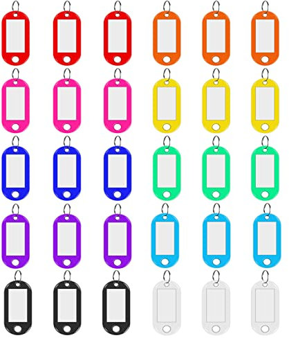 Skaaisont 30 Porte Clef Etiquette,Porte Clés en Plastique 10 Couleurs,Porte étiquette Inscriptibles pour de Maison,Peut être Utilisé Marquer Divers Articles Par Exempl Bagages,Nom l'animal