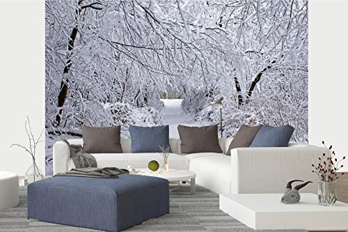 Vlies Fototapete WINTERWALD IM SCHNEE 375 x 250 cm (inkl. Kleister) - Vlies Tapete, Wandtapete, Wandbilder - Tapete für Wohnzimmer Schlafzimmer, Büro, Küche - Montagefertig