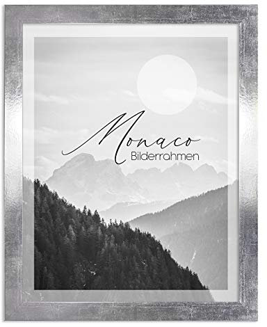BIRAPA Monaco - Cornice portafoto 40 x 60 cm, argento lucido vintage, effetto metallo, in alluminio spazzolato, cornice per poster, cornice intercambiabile