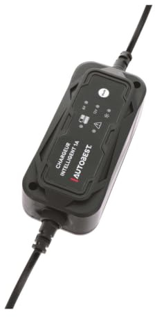 Autobest Ladegerät für Motorradbatterie – Ladungsunterstützung 6 V/12 V