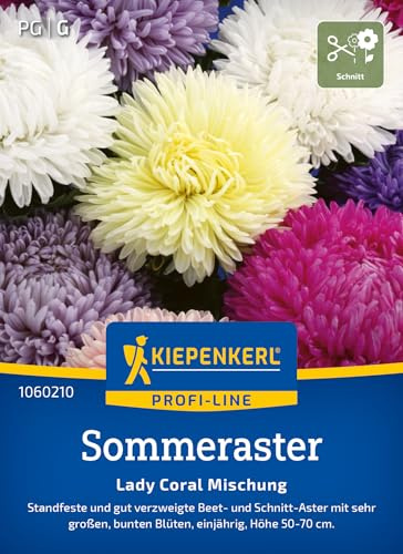 Kiepenkerl Sommerastersamen Lady Carol Mischung 1060210, Blumensaat | Standfeste und gut verzweigte Beet- und Schnittaster, Blumenmischung, Höhe 50-70 cm, als Schnittblume