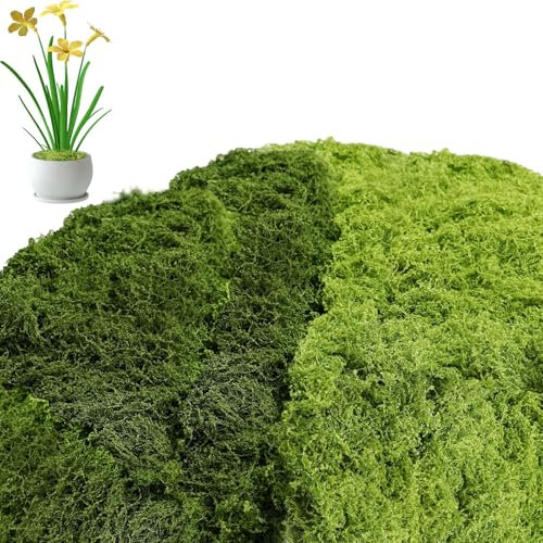 200g Kunstmoos zum Basteln, Künstliches Moos Deko, Fake Moos Deko Aesthetic, Deko Ostern für Wand, Krippe Aquarium Modellbau, Kunstmoos in 2 versch (100g Dunkelgrün + 100g Hellgrün)