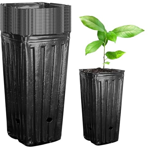 Confezione da 10 vasi alti e profondi, in plastica nera ispessita, per fiori, erbe, talee, piantine, 10 x 20 cm, ideali per vivai