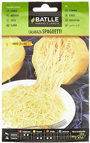 Batlle Gemüsesamen - Spaghetti Kürbis (10-25 Samen)