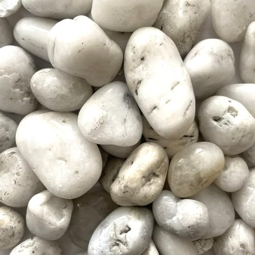 Eurosand Flusskiesel 10-30mm 5kg Weiss Weiß, Kieselsteine Dekosteine Natursteine Dekosteine Naturdeko Gartendeko Zengarten Feng Shui