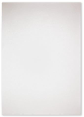 NEUSER PAPIER pappersark metallic DIN A4-210 x 297 mm – champagne – 50 stycken – 125 g/m² – glansigt papper för pyssel, tryckbart, korttillverkning, inbjudningar, brevpapper